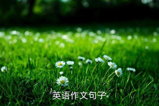 英語作文萬能句子大全，英語作文通用句子...
